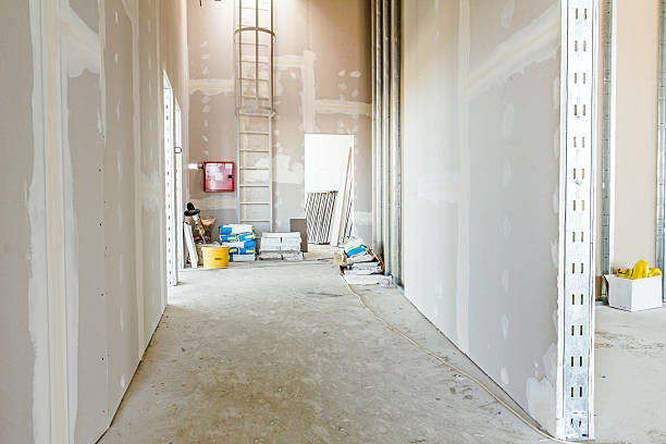 Best Residential Mold Inspection & Testing  in Marion, KY