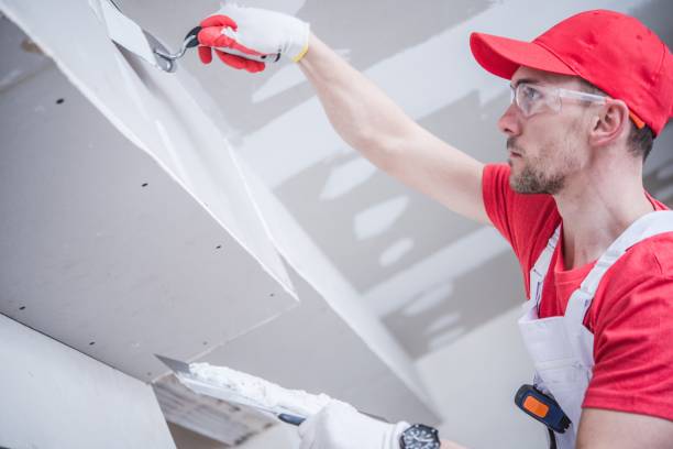 Best Mold Remediation for Healthcare Facilities  in Marion, KY